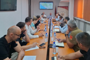 Ispravna dva aviona za gašenje požara, u toku servisiranje još dva